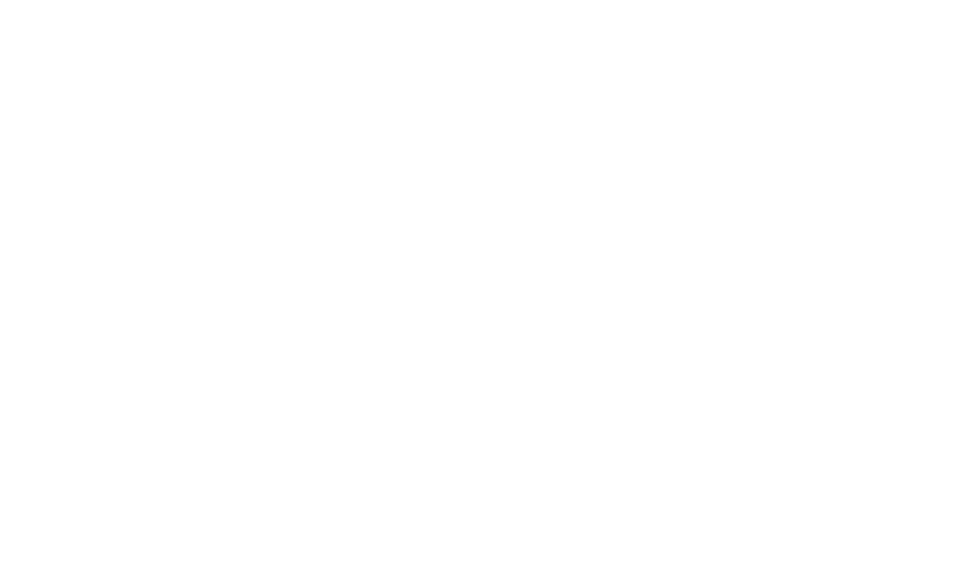 light logo